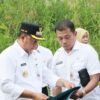 Bupati Batola Tinjau Lahan Pembangunan Puskesmas Anjir Muara