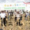 Kapolri dan Mentan Gelar Panen Raya Jagung di Sulsel untuk Perkuat Ketahanan Pangan