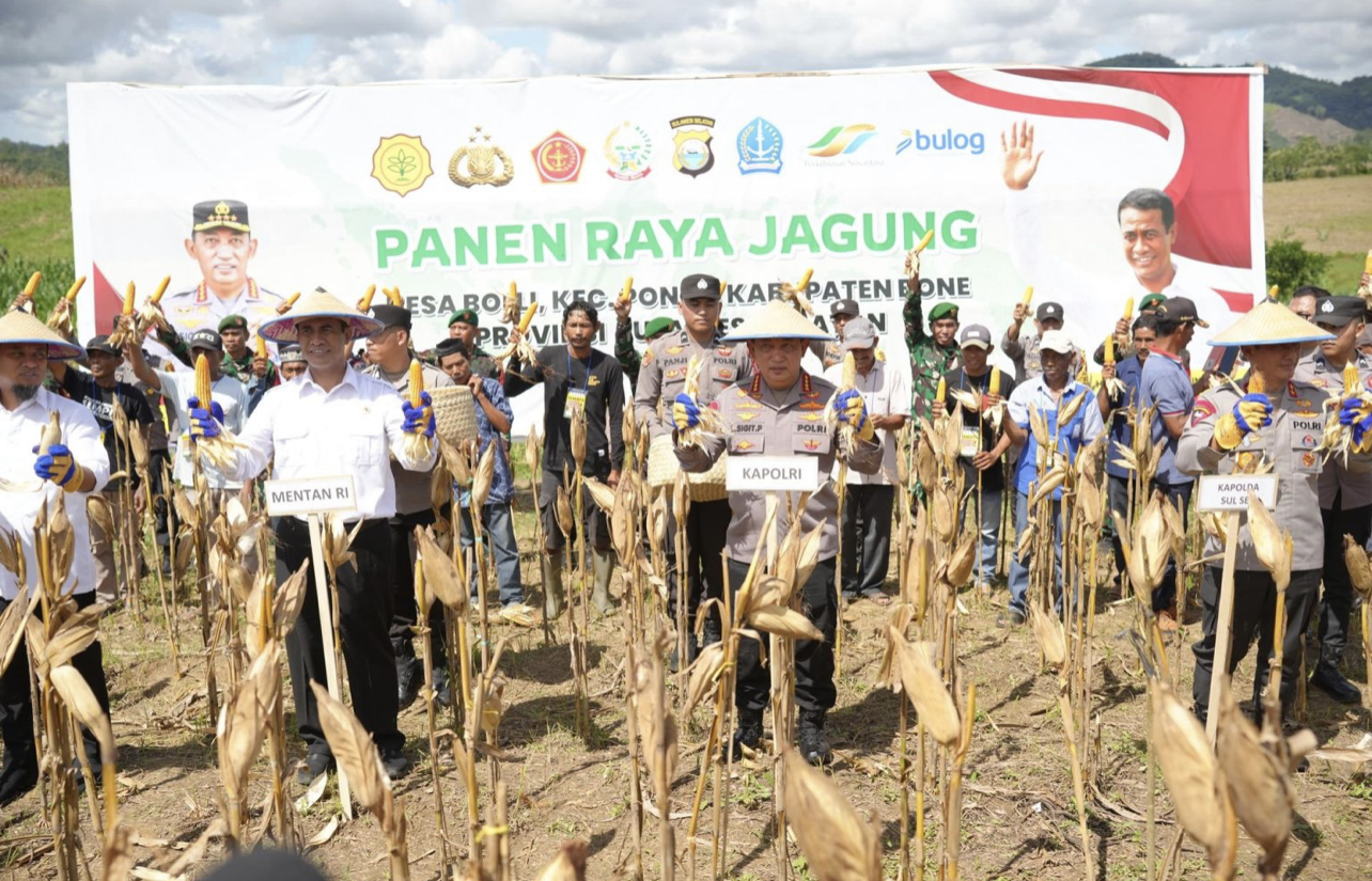 Kapolri dan Mentan Gelar Panen Raya Jagung di Sulsel untuk Perkuat Ketahanan Pangan
