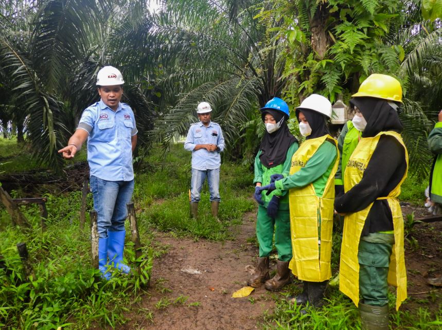 PT Kodeco Agro Mandiri Dukung UKK Siswa SMK: Perkuat Link and Match Dunia Industri